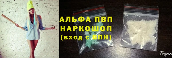 прущие грибы Алзамай
