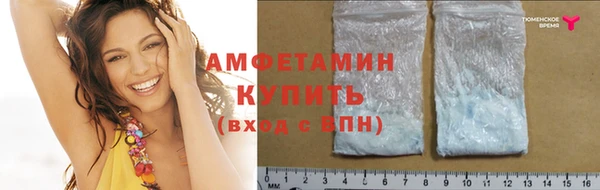 прущие грибы Алзамай