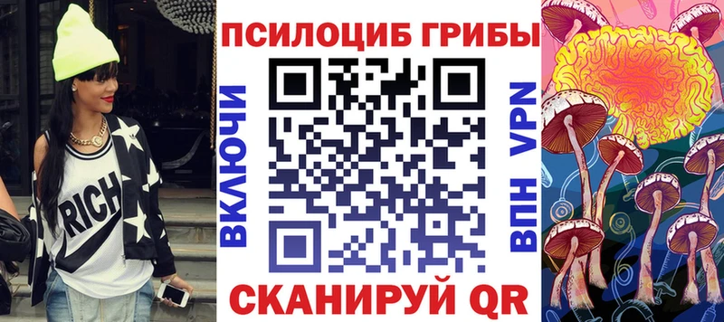 Псилоцибиновые грибы Psilocybine cubensis  Советск 